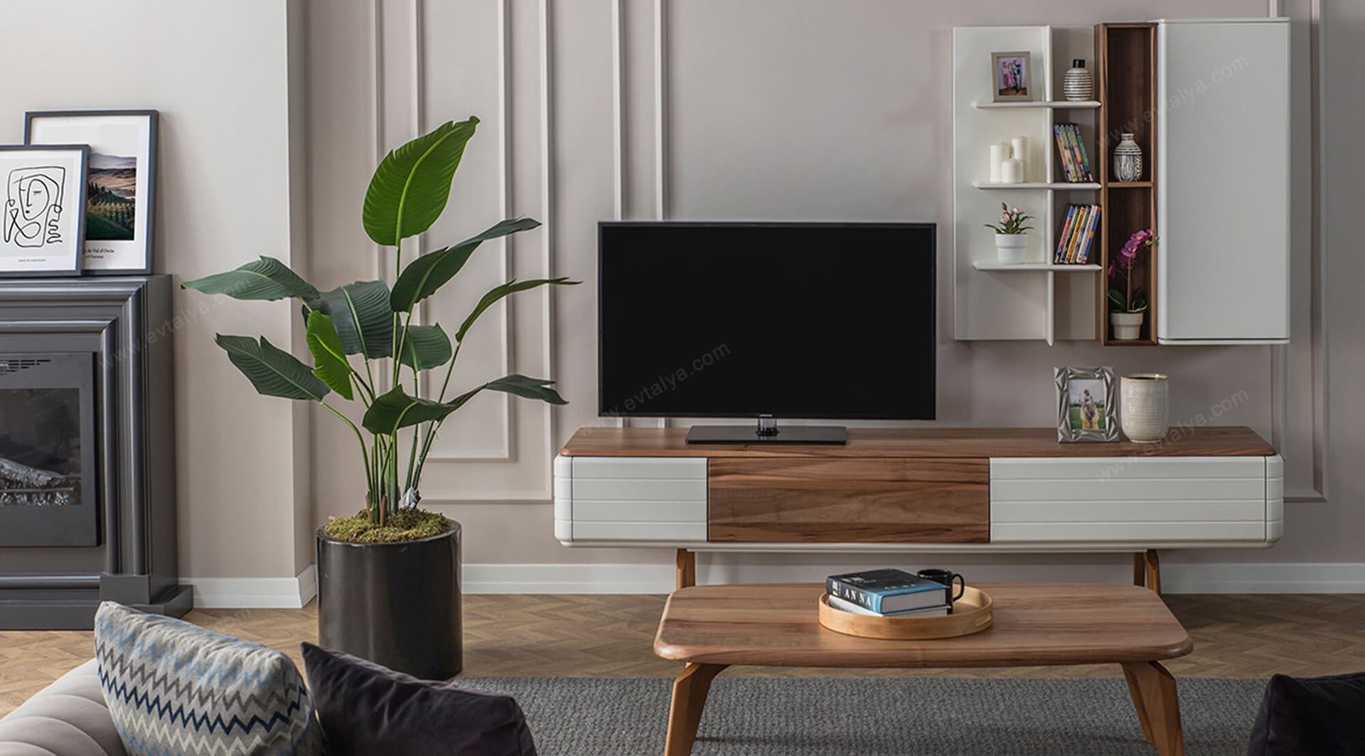 Polo Tv Ünitesi 2